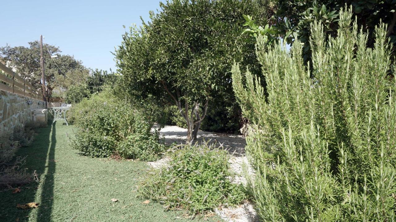 Studio Eleni - Oasis Holiday Houses Кокинос Пиргос Екстериор снимка