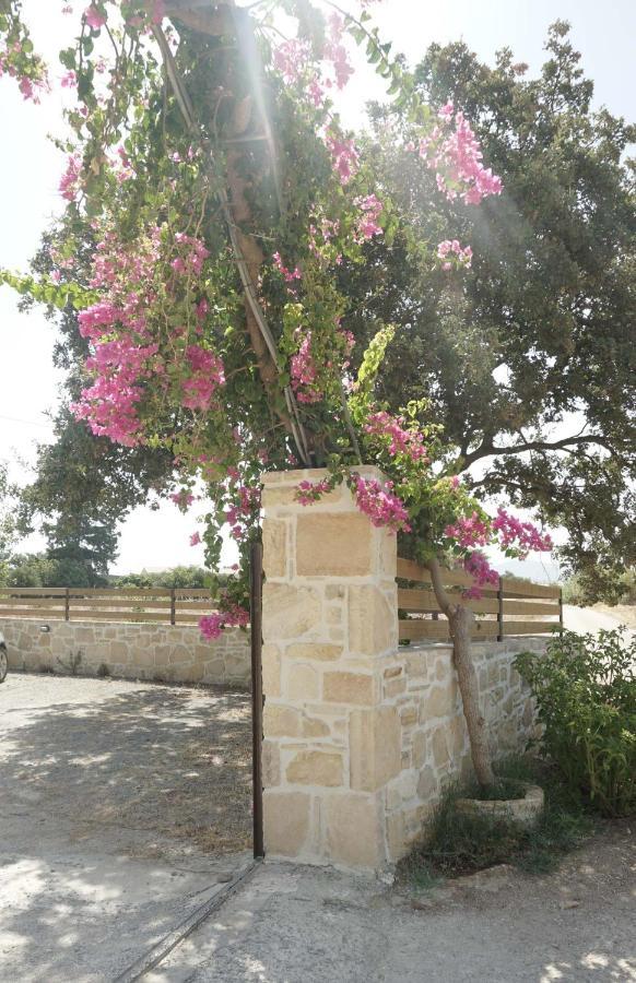 Studio Eleni - Oasis Holiday Houses Кокинос Пиргос Екстериор снимка