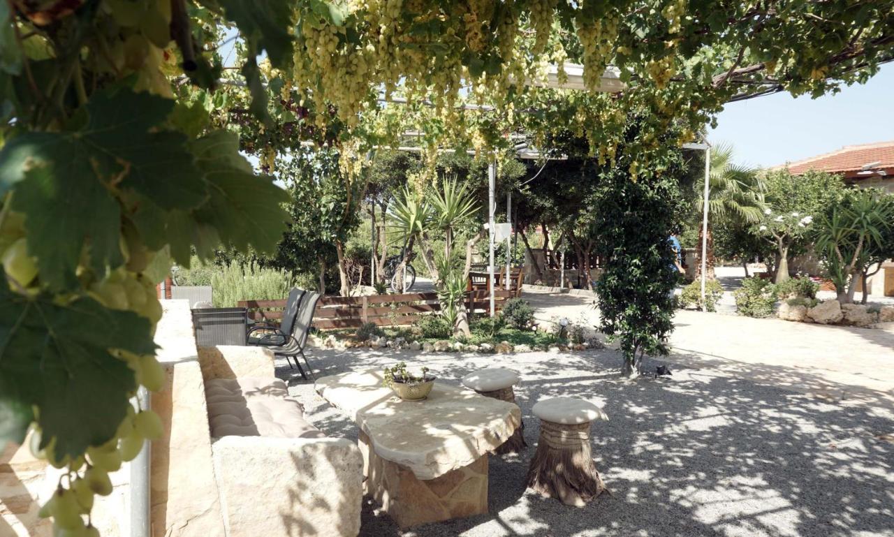 Studio Eleni - Oasis Holiday Houses Кокинос Пиргос Екстериор снимка
