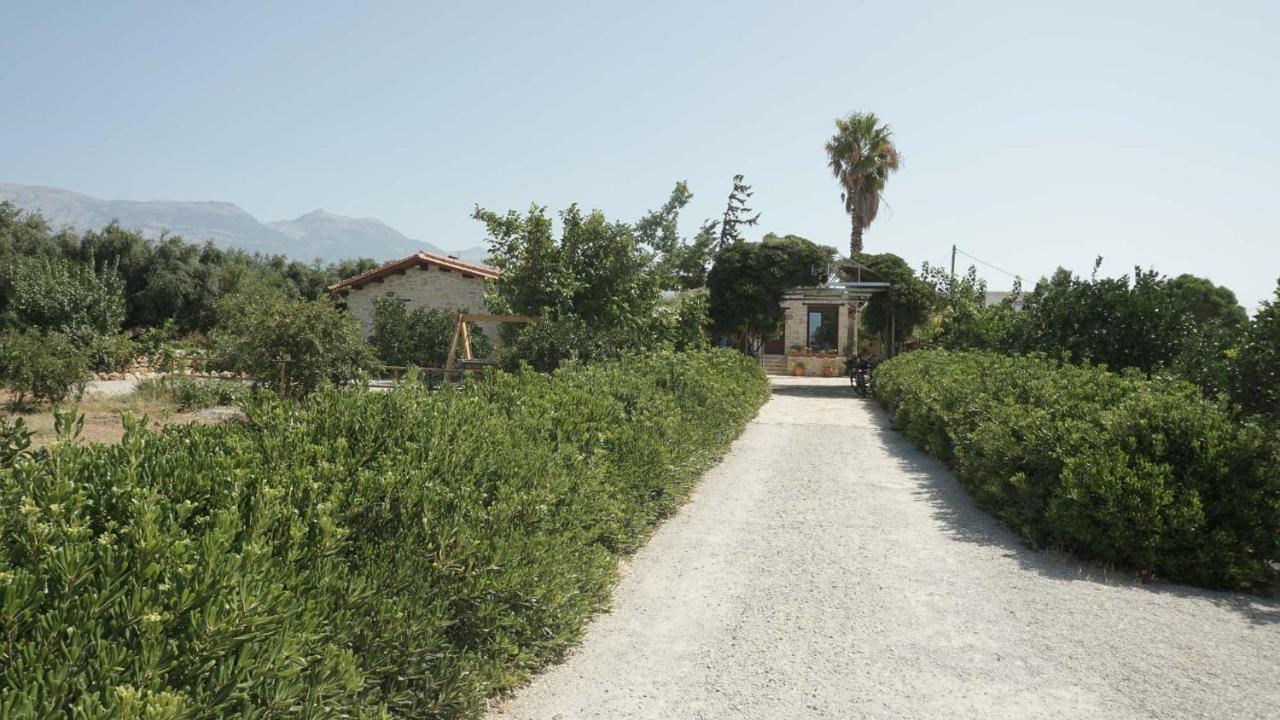 Studio Eleni - Oasis Holiday Houses Кокинос Пиргос Екстериор снимка
